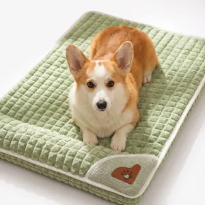 Cama Ortopédica para Mascotas
